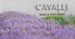 CAVALLI WINES APPOINTS ACCOMPLISHED WINEMAKER RIANIE STRYDOM