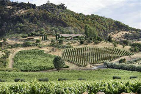 Antica Wines from the Napa Valley, U.S.A