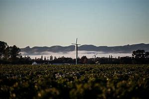 Alpha Domus Winery in Hawke's Bay, New Zealand