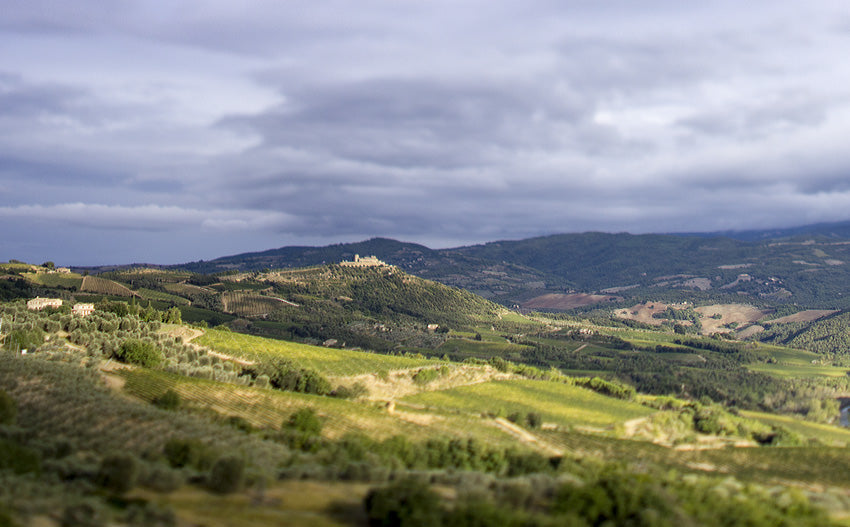 Ciacci Winery in Montalcino, Tuscany. Italy