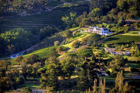 Constantia Glen