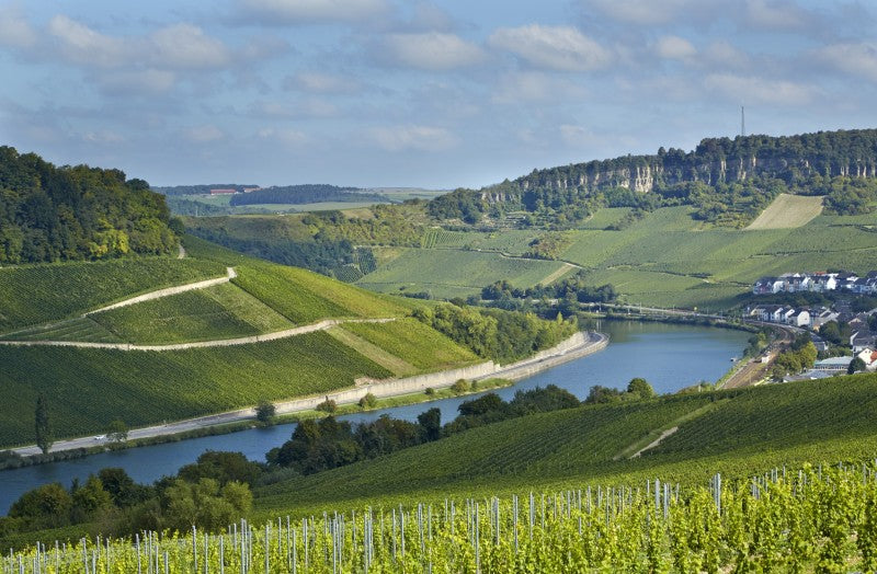 Domaines Vinsmoselle