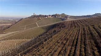 Gaja