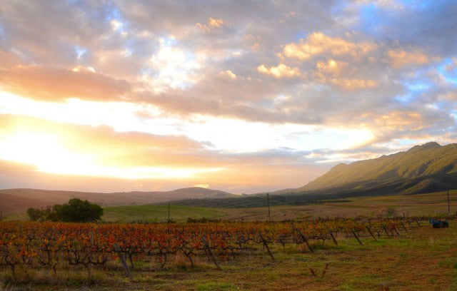 Swartland Patina Wines