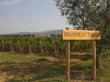 Tenuta Guado al Tasso