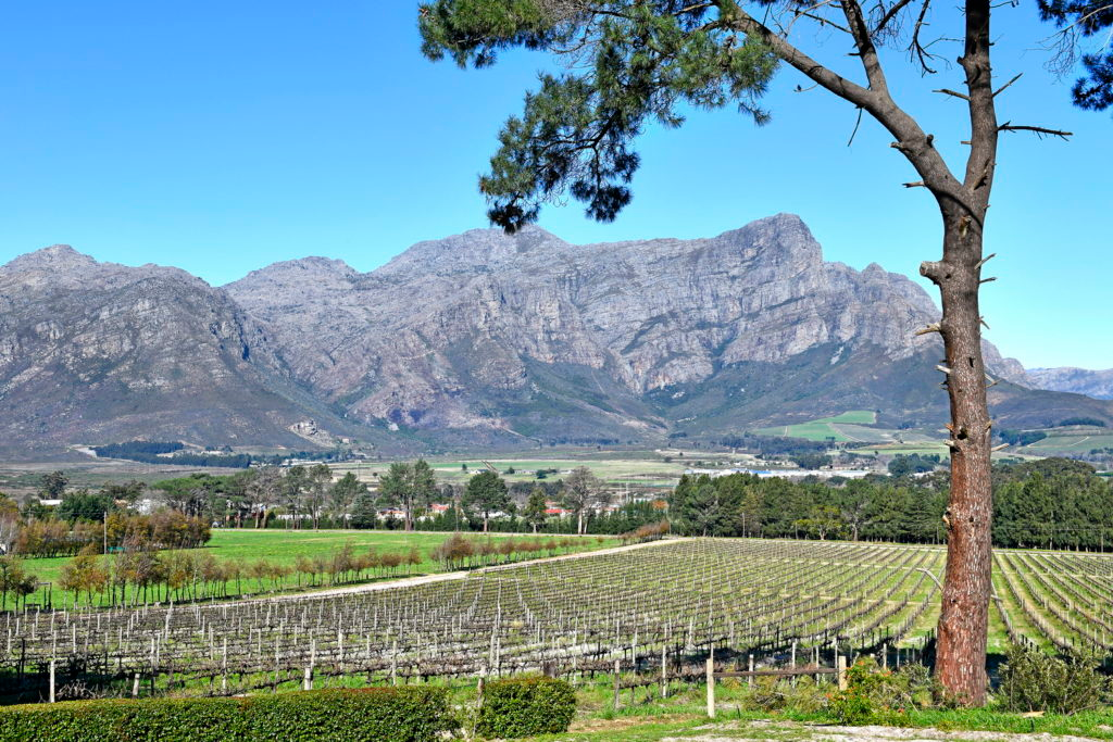 Topiary Wines